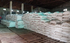 दुई लाख ४३ हजार मेट्रिक टन रासायनिक मल वितरण    